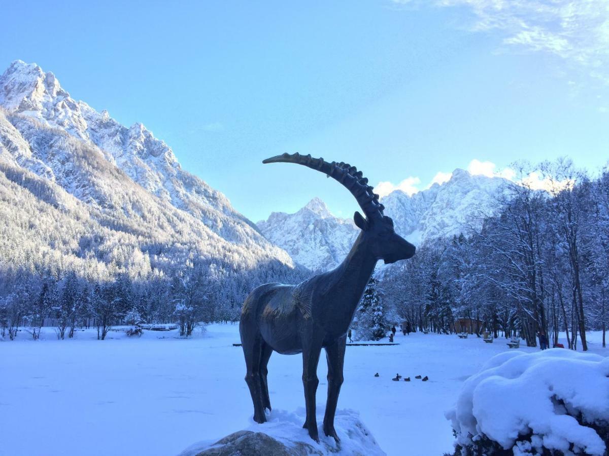 Vila Mojca Apartma Peridot - Center Kranjska Gora Dış mekan fotoğraf