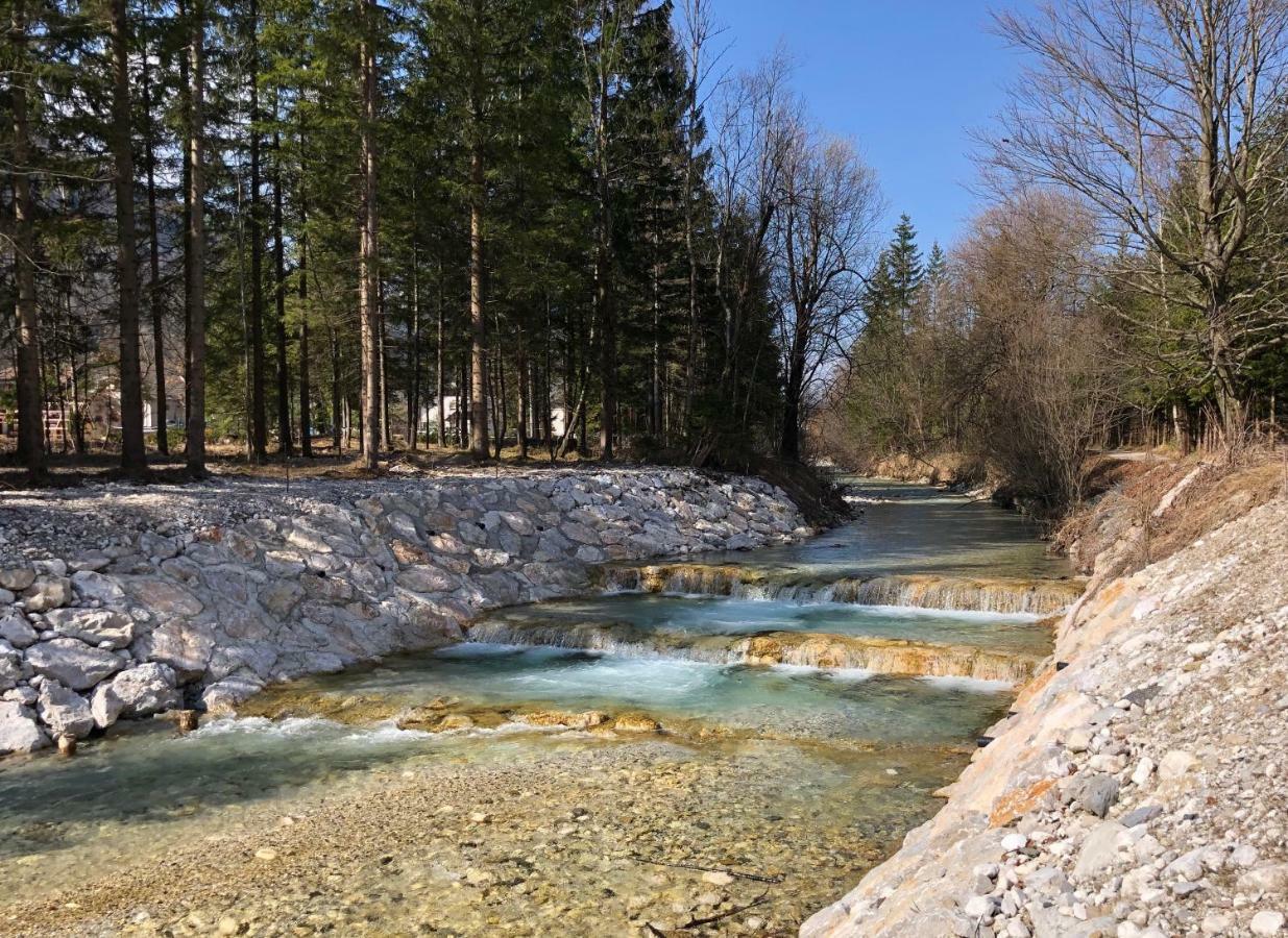 Vila Mojca Apartma Peridot - Center Kranjska Gora Dış mekan fotoğraf