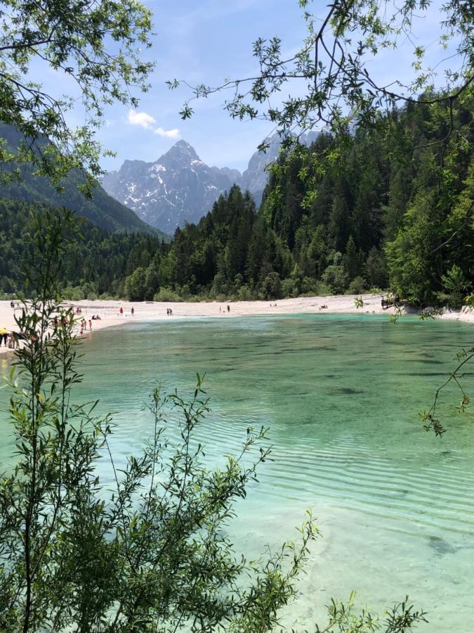 Vila Mojca Apartma Peridot - Center Kranjska Gora Dış mekan fotoğraf