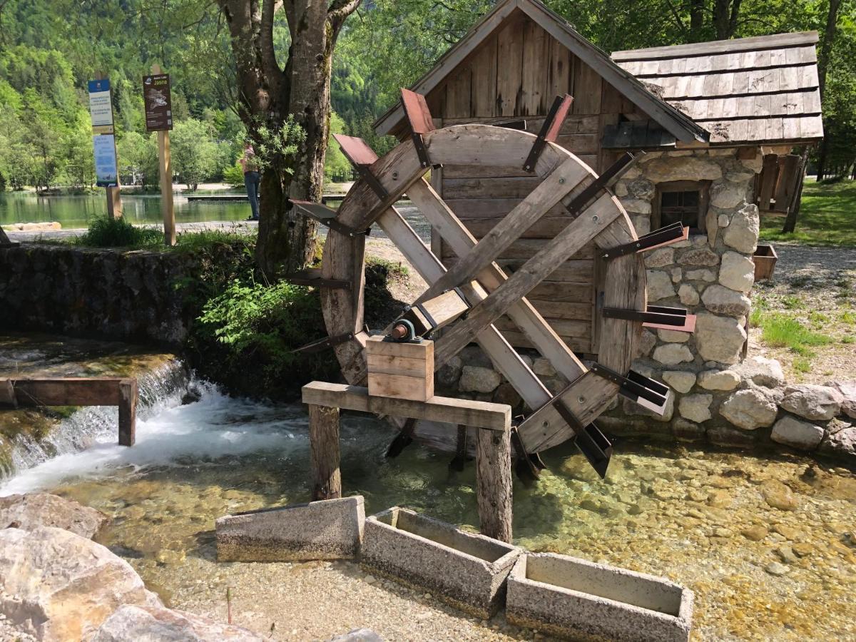 Vila Mojca Apartma Peridot - Center Kranjska Gora Dış mekan fotoğraf