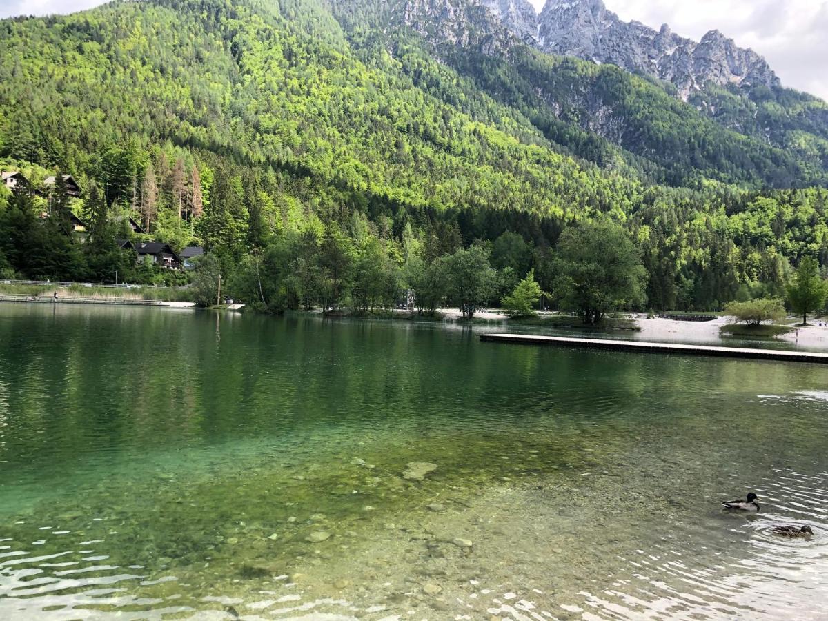 Vila Mojca Apartma Peridot - Center Kranjska Gora Dış mekan fotoğraf