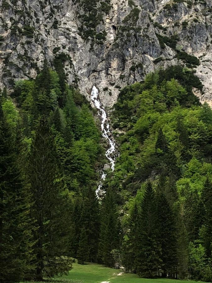 Vila Mojca Apartma Peridot - Center Kranjska Gora Dış mekan fotoğraf